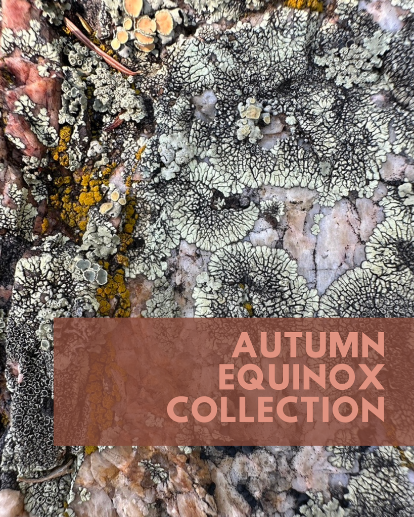 2026 Autumn Equinox Collection coming soon